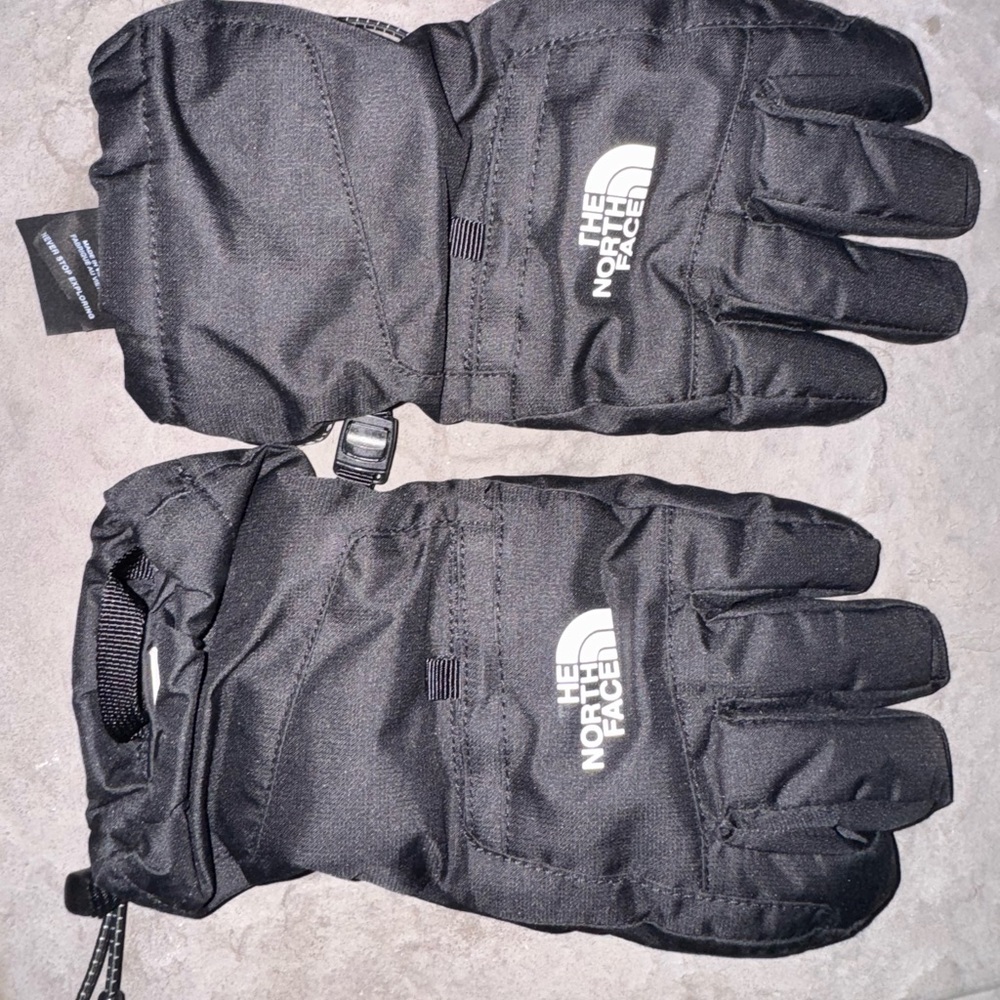 The north face gloves